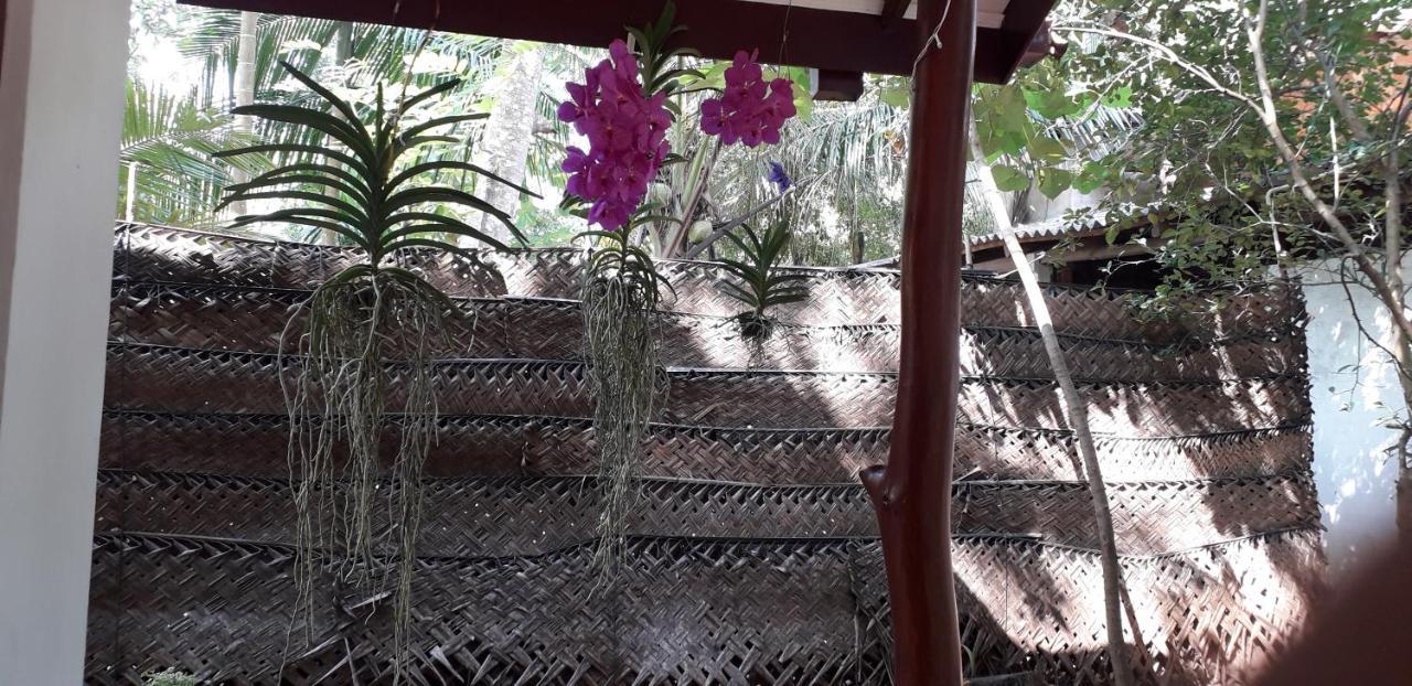 Yaluwa Tourist Rest & Cooking Class Anuradhapura Exterior foto