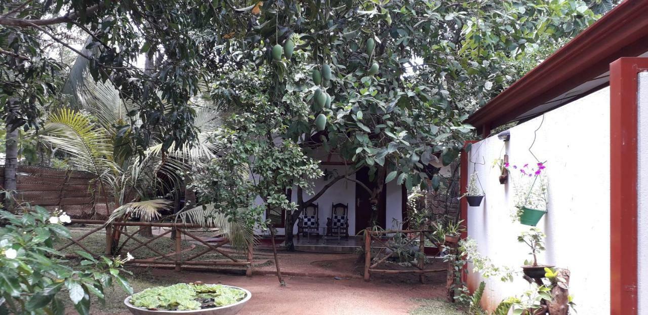 Yaluwa Tourist Rest & Cooking Class Anuradhapura Exterior foto